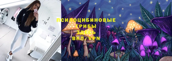 индика Абдулино